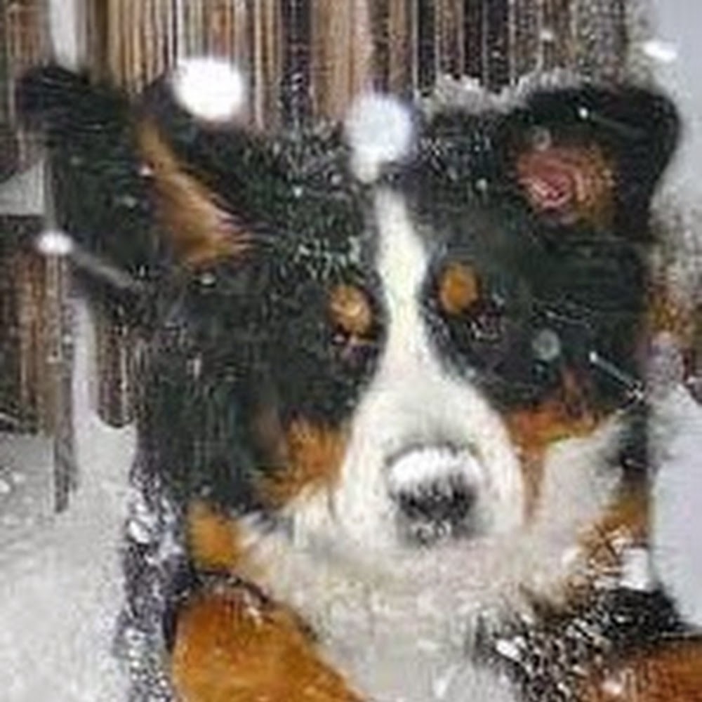 Meet your Posher, Savannah